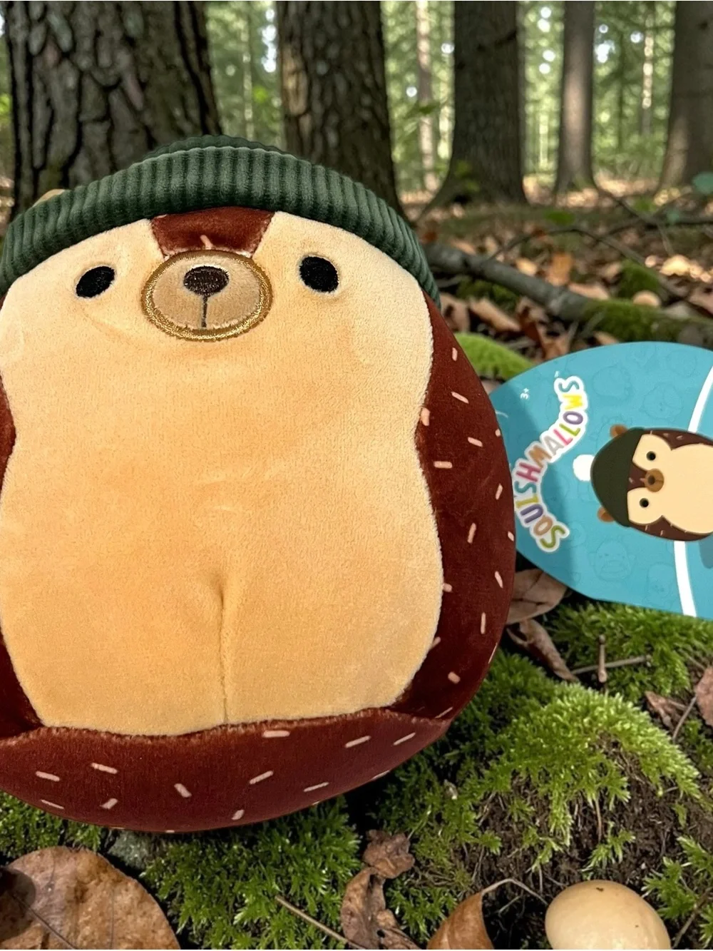 Squishmallows Woodland Lot 3 Mac Acorn Jason Donkey Hans Hedgehog NWT Plush 5”